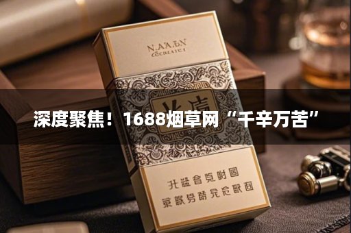 深度聚焦！1688烟草网“千辛万苦”