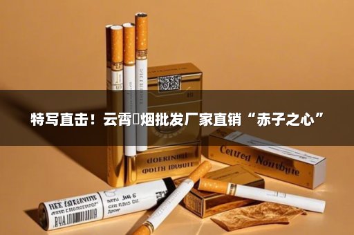 特写直击！云霄稥烟批发厂家直销“赤子之心”
